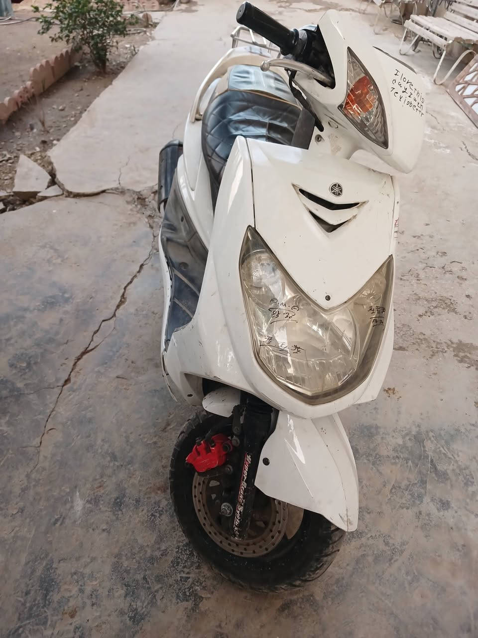 سكنس فحل نوزل مابيه نفص كل غراصه بلادي ب٧٠٠ااف وبيه محال مكاني بغداد البلديات***********
