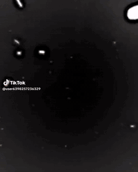 سلام عليكم  الحلال البيع والشراء هذا رقم ***********
