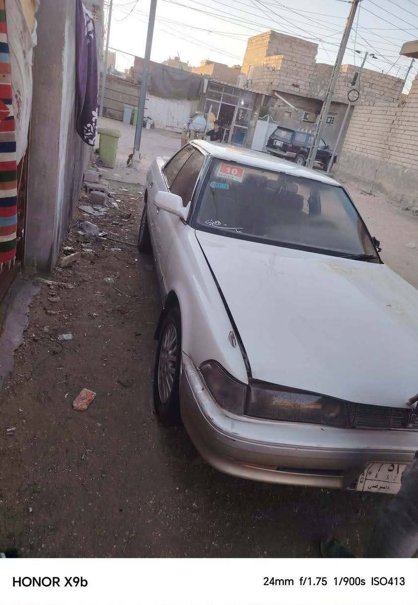 السلام عليكم مارك عظم للبيع بيه ضرر اثر حرق في ظفيرة المكينه فقط ابيع هل موجود مكانها كربلاء وراعيها هم كربلاء رقمها بابل الماني موبايل ***********
