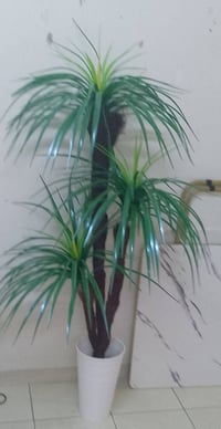 جديد • مكلفه • للبيع