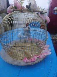 قفص للبيع السعر ٧ الف  ٠٧٧٠٥٣٩١٣٣٥ شهداء البياع