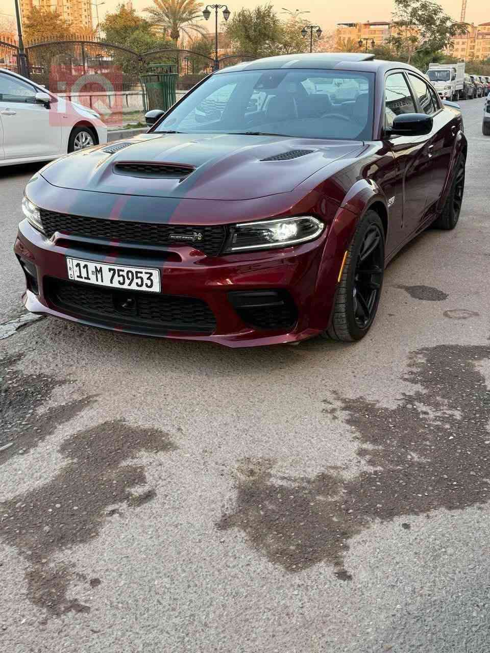 🔥 للبيع | Dodge Charger Scat Pack Last Call Widebody 2023 🔥
إذا تدور على سكات باك فل مواصفات ومميزة عن الباقي، فهاي السيارة خيارك. لون ماروني مميز يخليها ملفتة بكل مكان، مع إضافات جاهزة وصوت وهيبة معروفة.

🚗 المواصفات:
• موديل: 2023 Last Call Widebody
• محرك: 6.4L HEMI V8
• قوة: 485 حصان
• قير أوتوماتيك 8 سرعات
• ممشى: حوالي 13 ألف ميل
• أعلى فئة (Full Option)

⭐ المميزات:
✅ رادار وأنظمة أمان متكاملة
✅ شاشة كبيرة + Apple CarPlay & Android Auto
✅ تشغيل بصمة ودخول ذكي
✅ كاميرا خلفية + حساسات
✅ تبريد وتسخين للمقاعد
✅ بريكات Brembo الأصلية
✅ Launch Control + Line Lock + جميع أوضاع القيادة

🔥 الإضافات:
• اكزوز Mopar مع بوابات تحكم ريموت
• برمجة
• Catch Can
• دركات كاربون فايبر RPM

🛠️ ملاحظة: السيارة حادثها أمريكي، الضرر كان بنيد أمامي فقط وتم تبديله مع صبغ، والسيارة جاهزة للاستخدام ولا تحتاج أي مصروف.

💰 السعر: إذا شراي منختلف.

📍 الموقع: بغداد

📞 للتواصل: ***********
