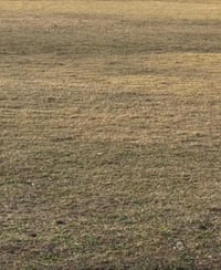 ٧ دونم • طابو زراعي • حولي مال العلم