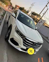 سينوفا X65 • ٢٠٠٠ تيربو • سنوية ساقطة