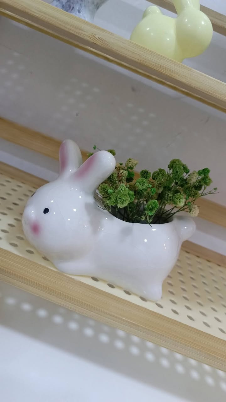 اشياء من متجري الحلو بأنسب الأسعار
توصيل لكل العراق 
هذه المدن توصيله مجاني 
حي الجهاد 
بياع 
التراث 
السيديه 
حي العامل 
افحصي الطلب بوجود المندوب قبل ما تنطين فلس


**إذا كنت صاحب هذا الإعلان وتريد حذفه لأي سبب، رجاءا أرسل رسالة إلى الدعم الفني**