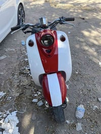 عبد حليم • نضيفه • ديالى