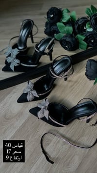 سنيوريتا • توصيل كل المحافظات • واسط قضاء الحي