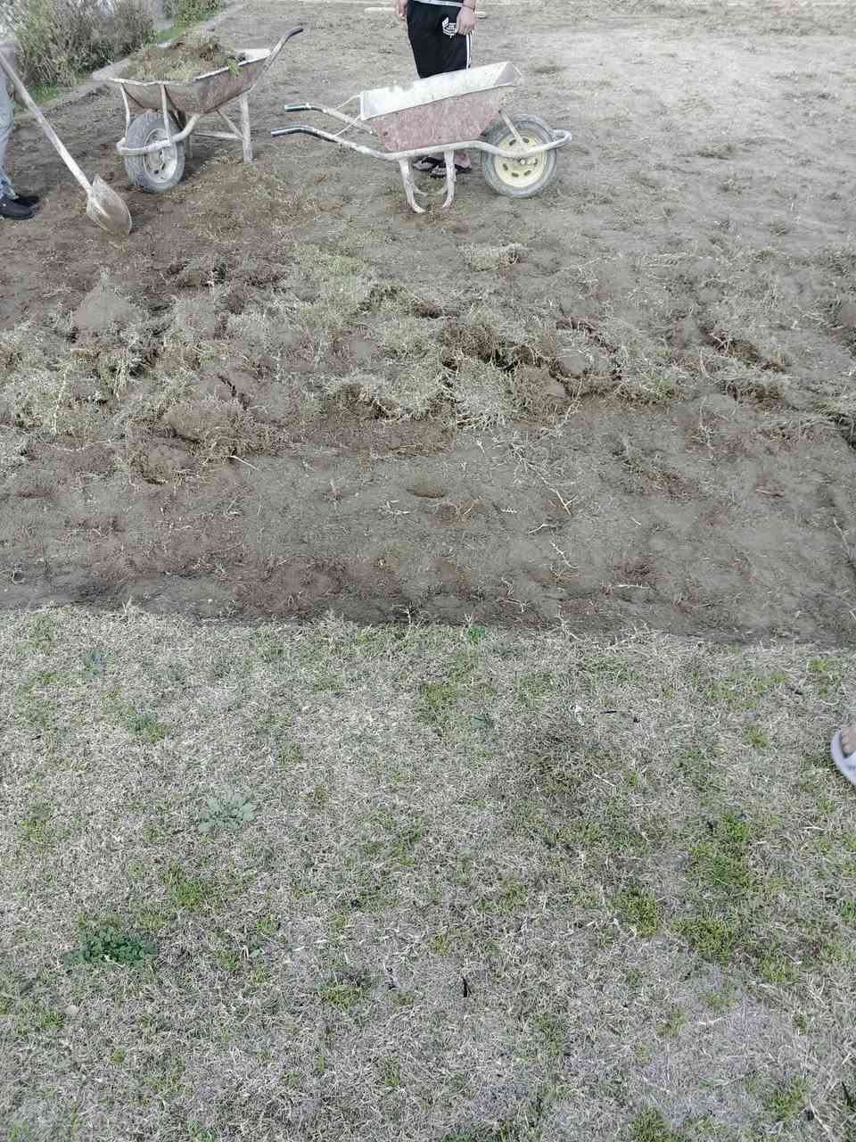 🔸 ترتيب وتنظيم الحدائق ☘️
🔸 زراعة شتلات وأشجار زينة🌹
🔸 تقليم وتعديل الأشجار      ☘️
🔸 تنسيق جمالي حسب ذوقك🌹
 
التفاصيل اكثر الاتصال ع الرقم
***********
او مراسلة الصفحة
