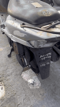 يالله وصول ماكس منغولي حاويه  والأسعار مناسبه لاستفسار  07800915985