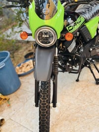 دايون جبلي • اوراق سكنر • كفاله عامه