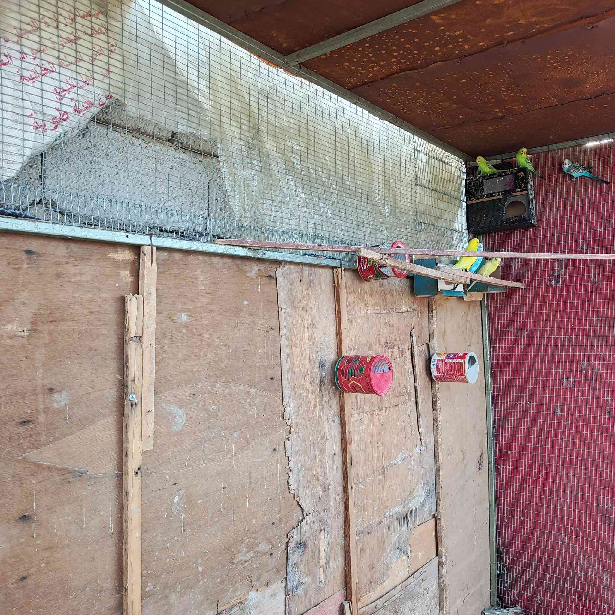 سلام عليكم برج مال
طيور الحب أو حمام 

الطول مترتين ونص والعرض متر ورتفاعه مترتين 

برج كامل وجديد توني مفصله 

السعر 140
مكاني الطار العبرات 

هاذا رقمي ***********
