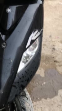 ثعلب • مكفوله • مختمه