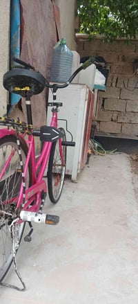 بسكليت • اغراضه كاملة