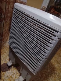 مبرده • نضيفه • شطرة