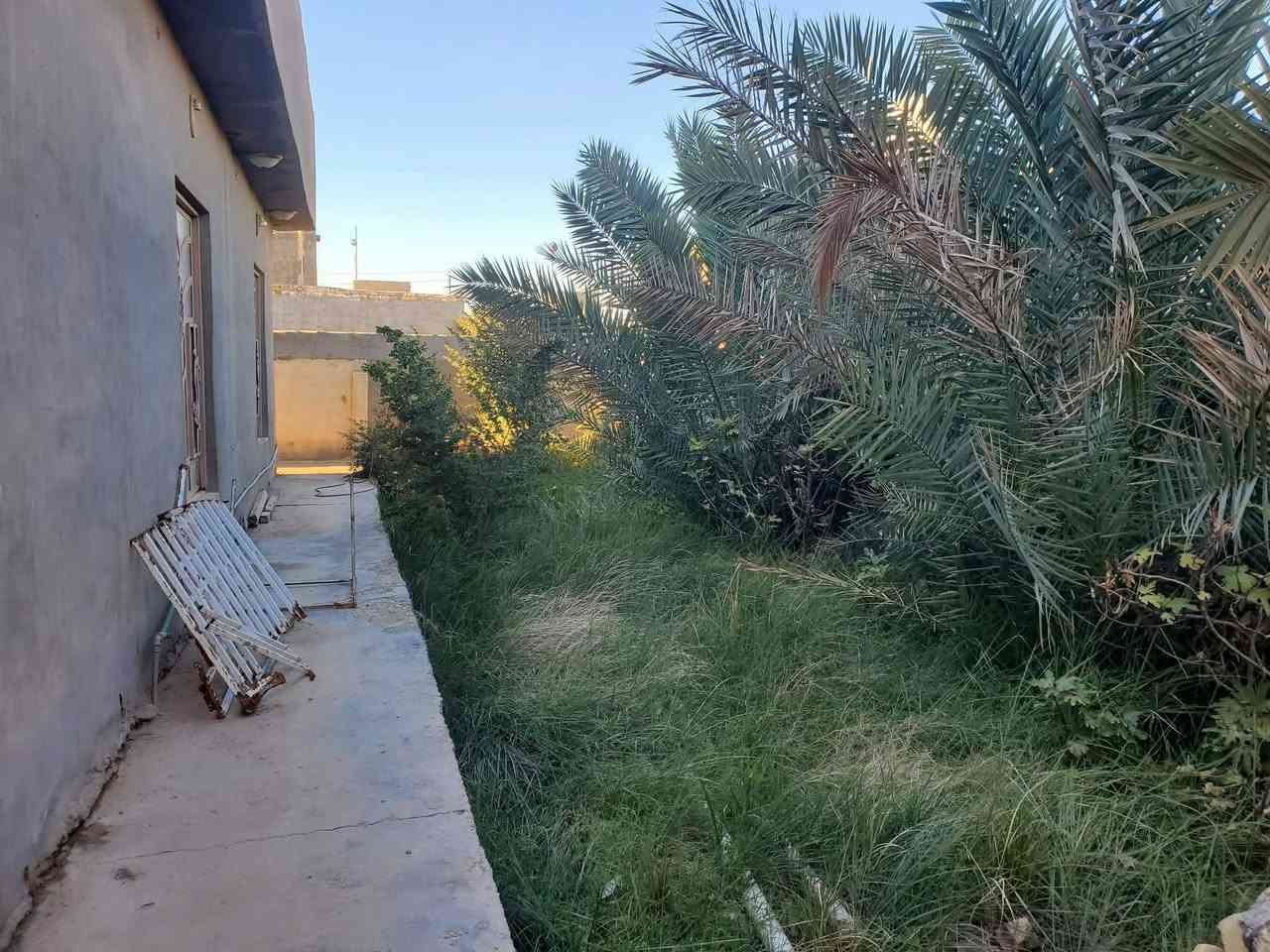 🏡 بيت زراعي للبيع – سند ٢٥
📐 المساحة: ٥٠٠م²
🧱 البناء: ٣٠٠م²
🛏️ التفاصيل: ٣ غرف – صالة – مطبخ – براني – صحيات
⚡ الخدمات: تبليط كامل – ماء – كهرباء
📍 الموقع: طريق السنية، قرب الجامعة الإسلامية (عمود ٧٠٥)
📞 للاتصال: ***********
