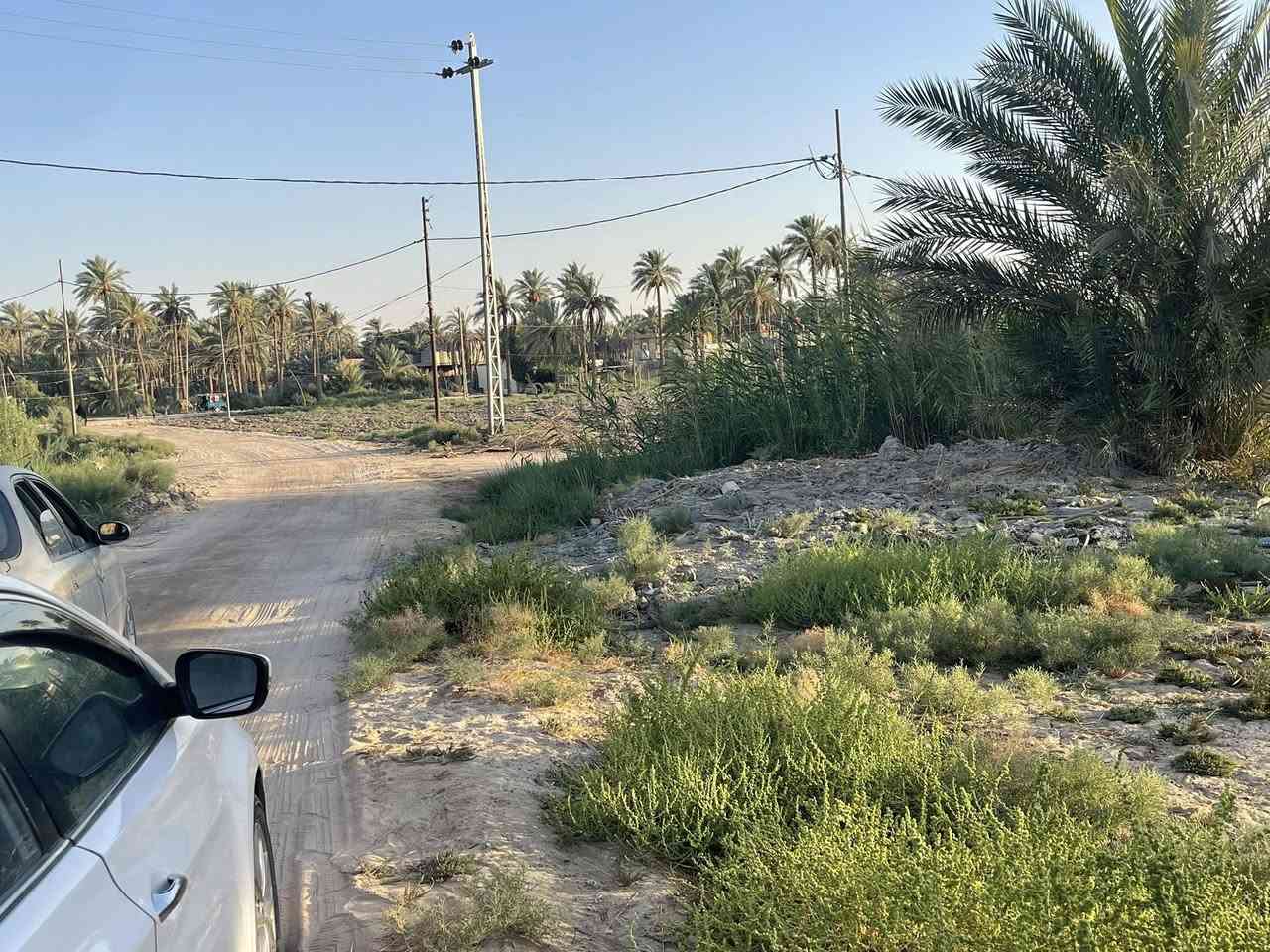 5دونم طابو زراعي سند 25سند منفرد تحويل بسم المشتري   معه كافت الخدمات ماء كهرباء تبليط مدارس مستوصف كربلاء المقدسة منطقه الدويهيه قرب المعهد الفني  طريق كربلاء حله تبعد عن مركز المدينة 15كيلو اي استفسار اتصال عله رقم الهاتف***********,,***********//سعر دونم 65مليون
