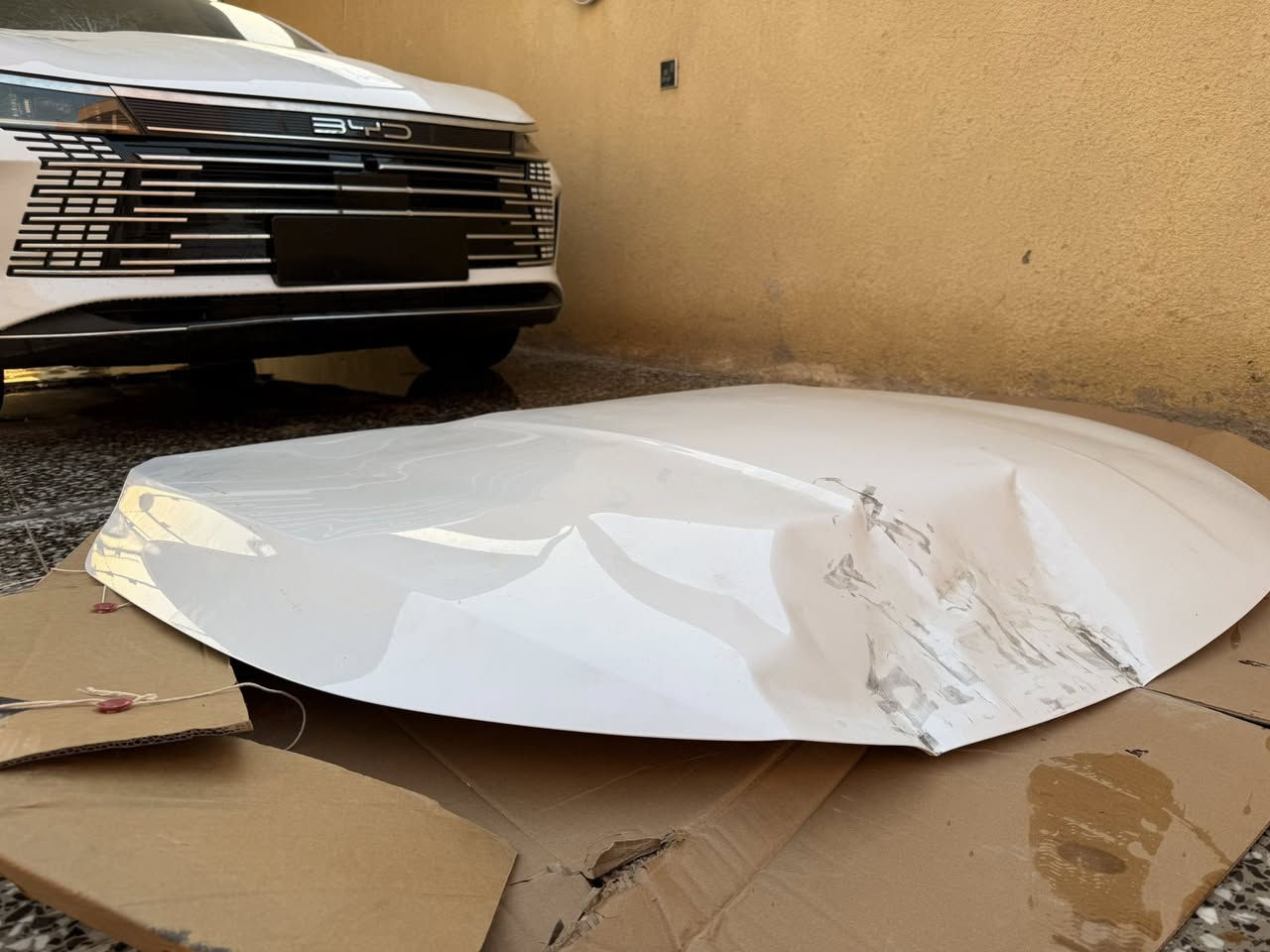 بنيد بي واي دي ٢٠٢٥
ابيض بلادي انطخ عندي بسيارتي
بي هاي طخة بعدهي ممصلحة
ومروحة راديتر مال تفصيخ اصلي
*********** مكاني بغداد
