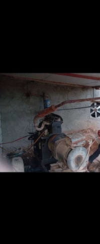 مولد • عنتر • جديد