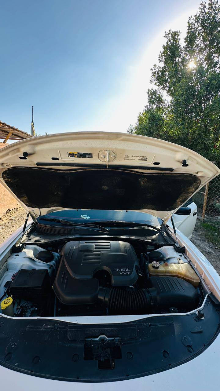 شارجر ١٨ اصل رقم ذي قار 

حادثه غرق
سياره جاهزه من كل النواحي  حداديه تخم تاير جديد باتري جديد دوشمه تحويل وين ما يعجبك الف ماذب عليه استخدام شخصي تجي وتشوف بعينك السعر ٢٣٠ وبيه مجال السونار مرفق ويه الصور

غير متواجد عل مازنجر متوفر وات ساب اتصل وبالخدمة
***********

مكلف بالنشر،،،،،،،،
