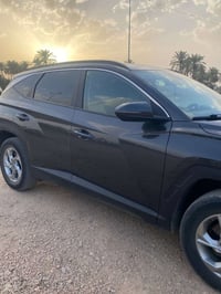 توسان • ٢٠٢٣ • بدون لوحات