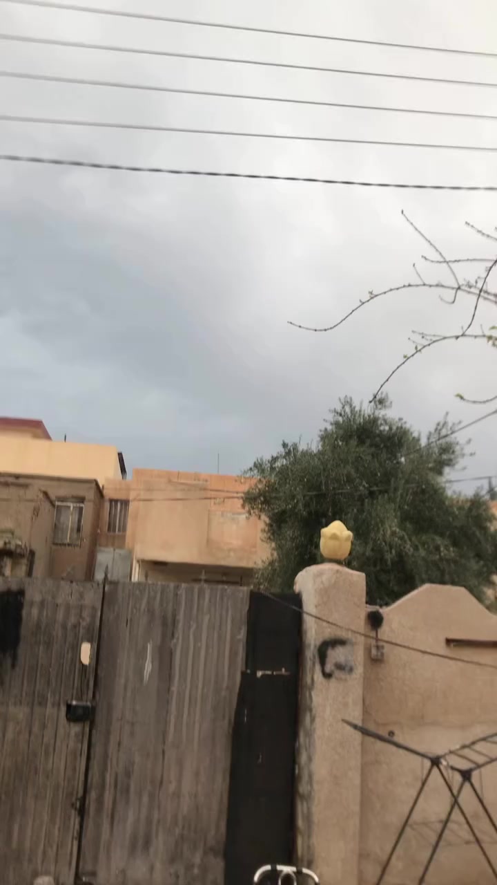 سلام عليكم اخوان دراجه للمراوس اب موديل حديث الدراجه نامه اربعه كير موديل ١٣  الدراجه خمس اوراق مدفوع كمرك يعني بس يحتاج ترقيم بس مكينه خليت عليه ٢٠٢٠ نامه اصل كلش نضيف الدراجه مكينه سوبر كهربائيات كله شغال اراوس ونطي فرق ايفون ٧ مامفتوح كلش نضيف بطاريه ٨٣ مع تحياتي


**إذا كنت صاحب هذا الإعلان وتريد حذفه لأي سبب، رجاءا أرسل رسالة إلى الدعم الفني**