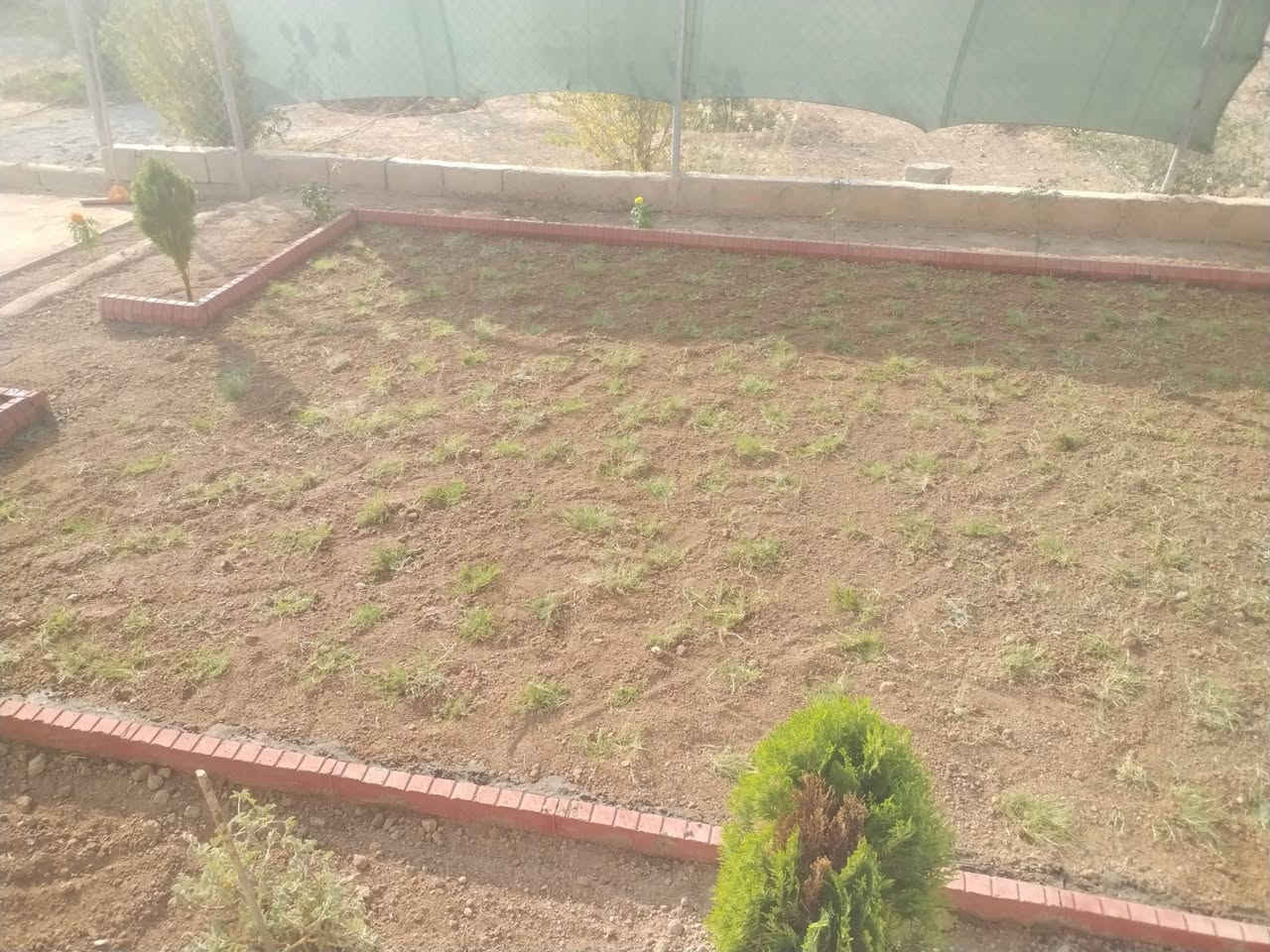 السلام عليكم
سياج الحدائق خشبي
نشتغل على متر طول
***********
***********
وتنظيف وترتيب حدائق
