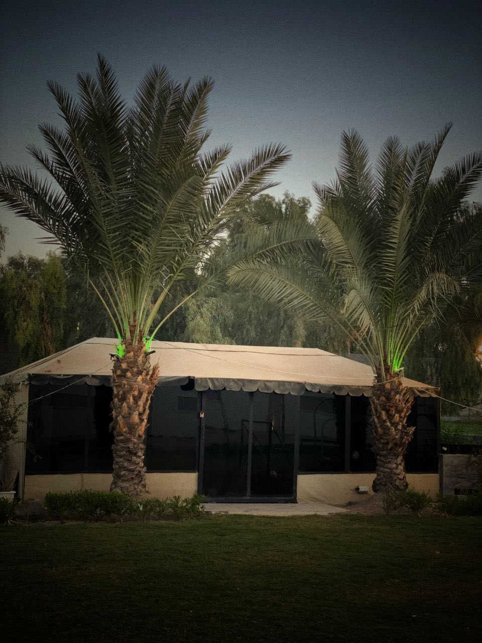 متوفر باجر حجز صباحي غداً سعر


**إذا كنت صاحب هذا الإعلان وتريد حذفه لأي سبب، رجاءا أرسل رسالة إلى الدعم الفني**