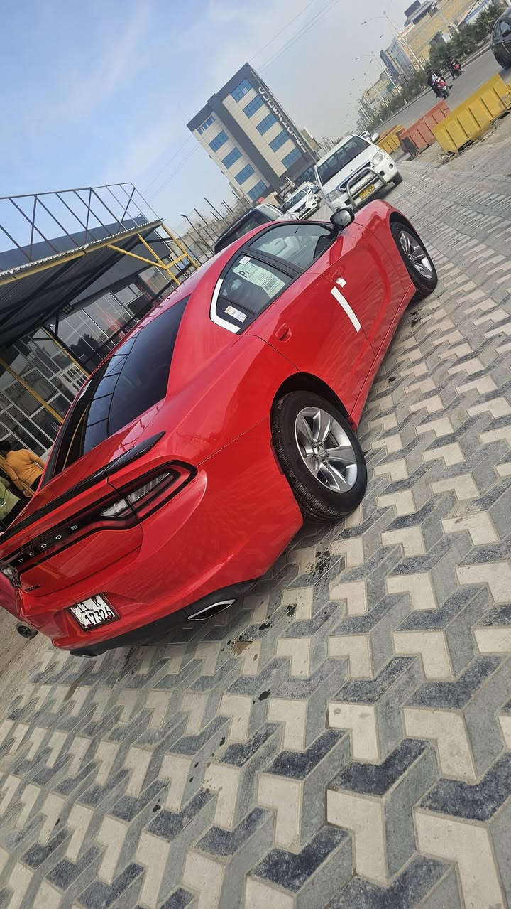 جارجر 2017مرمز 2022امريكي تبديل جاملغ فقط وصبغ طرف البنيدوالباقي مكفول رقم بغداد دولي
مواصفات شاشه حساس

كشنات جلد نضام سبورت مانع انزلاغ لددامامي حساس خلفي

السياره جاهزه للاخير من كلشي تايرات حداده مكينه كير

السعر 185وبيها مجال قليل 

مكان السياره ناصريه مركز

للاستفسار ***********////***********
