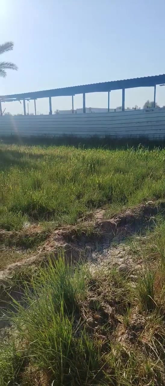 سلام عليكم ارض زراعيه للبيع مساحه دونمين  عقد زراعي تحويل مباشر باسمك بيت مكون من ثلال غرف ومضيف وصحيات ومطبخ ارض مسيجه  ماء اساله واروائي صب بنهايتها المكان بابل ابو غرق طريق سده مسيب تبعد. عن معهد وشارع حله كربلاء2كيلو  وعن شارع سده 500متر


**إذا كنت صاحب هذا الإعلان وتريد حذفه لأي سبب، رجاءا أرسل رسالة إلى الدعم الفني**