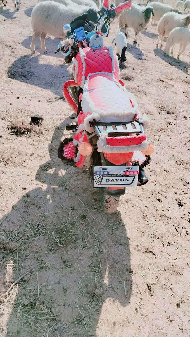 سلام عليكم ديوان البيع مديل 2025 شكل 2026 بعده زيرو *********** مكاني ديالى بلدروز
