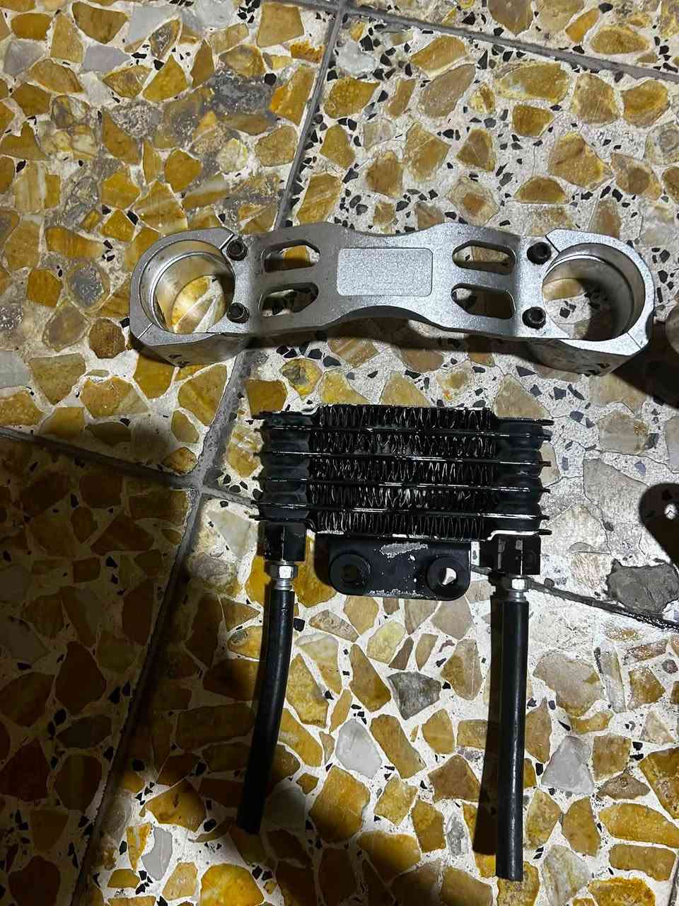 هوزن فحل لد نثيه وراديتر وكلبجات صدر عنوان ساحة عدن تواصل خاص او***********
