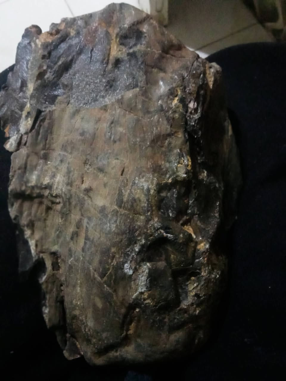 حجر صخر


**إذا كنت صاحب هذا الإعلان وتريد حذفه لأي سبب، رجاءا أرسل رسالة إلى الدعم الفني**