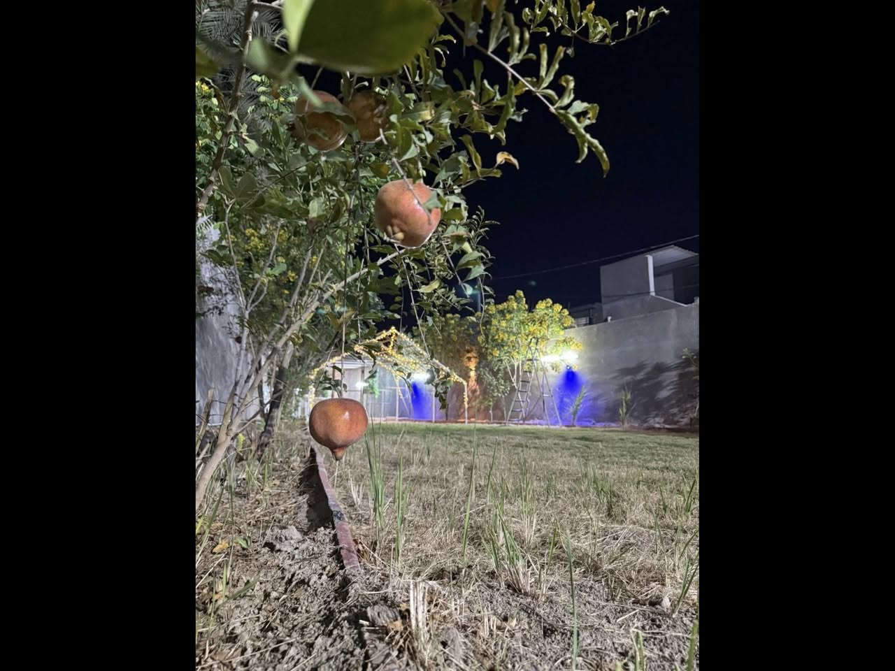 للبيع فلا مساحه 1000 متر وجها ٢٠ متر نزال ٥٠ متر اربع غرف نوم صالات ثنين حديقه اماميه خلفيه بناء بالنص مساحة البناء ٤٠٠ متر بناء حديث ٢٠٢٤ سقوف مغربيه البيت فول كامل اي نقص مابي يباع مع الاثاث ومولده ٤٥ كيفي زيرو بيركنز على ايدي مشتريها الاثاث ايطالي تخامه عدد ٢ وديوان صاله ثانيه غرف نوم عدد ٤ كاونتر تركي تصميم حديث HDF سبالت عدد ٨ كنتوري كلهن جدد جلسه اماميه مغلقه موثثه سبلت تخم شاشه وجلسه عربيه ومحميه طيور الاثات مجهز من فاملي سنتر بالكامل مع الوصولات العنوان شارع ١٠٠ طريق شريفه جديد قرب الانوار تعليم السياقه البيت طابو زراعي بأسمي سند ٢٥ تحويل ثاني يوم السعر خاص *********** او مراسله الحساب هذا 🌍🫡
