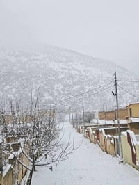 جبل كاره دهوك • جبل كورك اربيل • نقل خاص 4/12/30