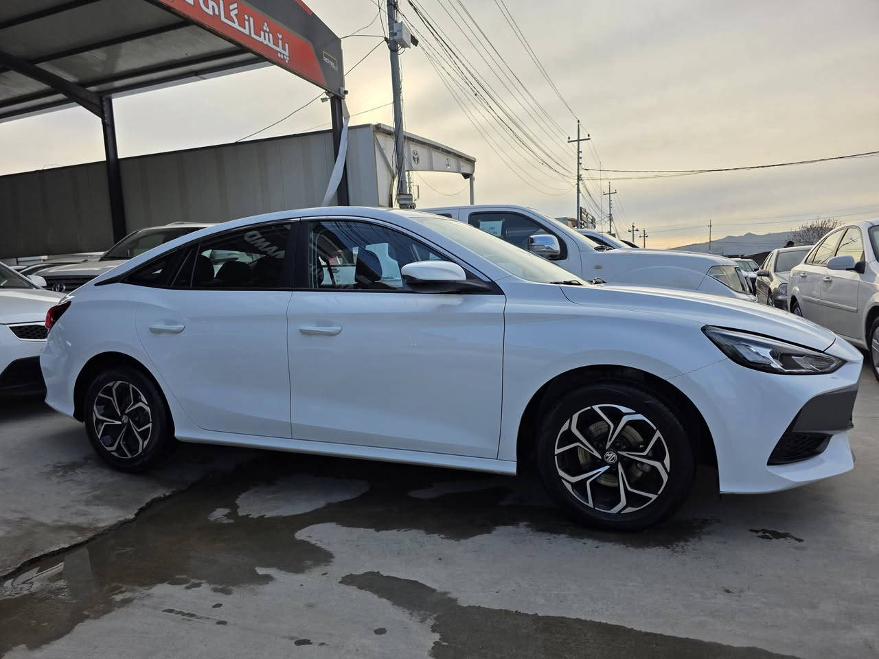 2025 گیڕ عادی
بویاخ تەنک بی بویاخ شوختو جاڵی نیە 27 هەزار ڕویشتوە سعری 95 گەڵا قوفڵ 
***********
