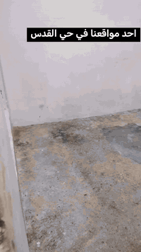 السلام عليكم ورحمة الله وبركاته

#اليحتاج
( تصفيط بادلوت )
تصفيط بلوك
تصعيد كافة المواد البناء
(بلوك_رمل_حصو_سمنت_كاشي)
تصفيط بلوك
صبه ارضيات
 صبه دنك وقساطل
صبه بيتونه
تنظيف وتعديل
تفليش اي شي
حاضرين في أي وقت
شغل درجه اولى هندسه
اسعارنا مناسبه 

للأستفسار الاتصال على الارقام التالية
يتوفر واتساب على الرقمين
***********
***********
