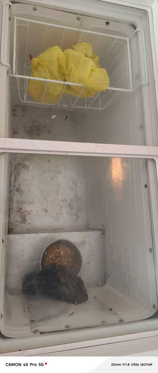 مجمده للبيع نظيفه كلش مشتغله اقل الموسم شرط التجميد ***********
