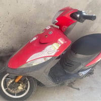 عدله • وكاله • بصره