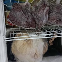 مجمده • جديده • تجميد فول