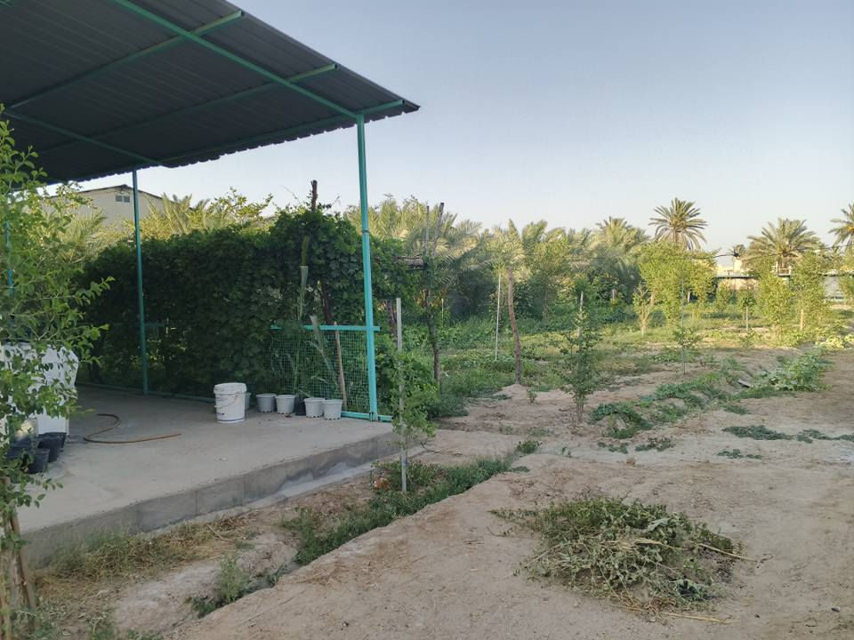 ⛔[اعلان عن بستان في منطقة الرابط - الزبيلية كربلاء]⛔

[للاستفسار عن السعر الاتصال على الرقم اسفل المنشور]

بستان بمساحة 1 دونم - الزبيلية كربلاء شارع الرابط -  

-الواجهة 21 / النزال 125.
-سياج بلوك.
-سند 25 حق التصرف.
-يطل على شارع تبليط رسمي.
-مكون من بيت حديث بمساحة 200 متر تقريبا + مضيف خارجي +غرفة خارجية صغيرة يمكن استعمالها كمخزن و جلسات خارجية عدد 2 احداهما تحتوي حمامات مفصولة للضيوف.

-يحتوي المنزل على 4 غرف نوم وصالة ومطبخ وحمامات عدد 3 

-تانكيات عدد 3 وتانكي ماء احتياطي خمس الاف لتر مع ماطورات ماء عدد 2 

-محمية للحيوانات متكاملة

-لمعرفة بقية التفاصيل بخصوص الكهرباء والماء والمزروعات
الاتصال على رقم صاحب البستان للاستفسار:
***********
