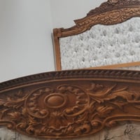 شباب تربايه فقط عرضها ب 300 رجاء لا احد يجي يقول لي بيها مجال 07812028...