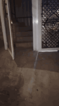 سلام عليكم بيت الإيجار
قرب سماء بغداد طابق ثاني تفاصيل داخل الفيديو
الإيجار ب 450 وبي مجال
ممكتب التميمي
***********
