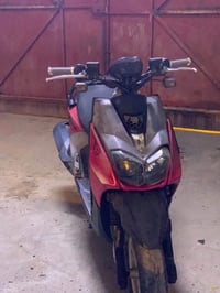 سكنس جبلي • حديث • بصرة