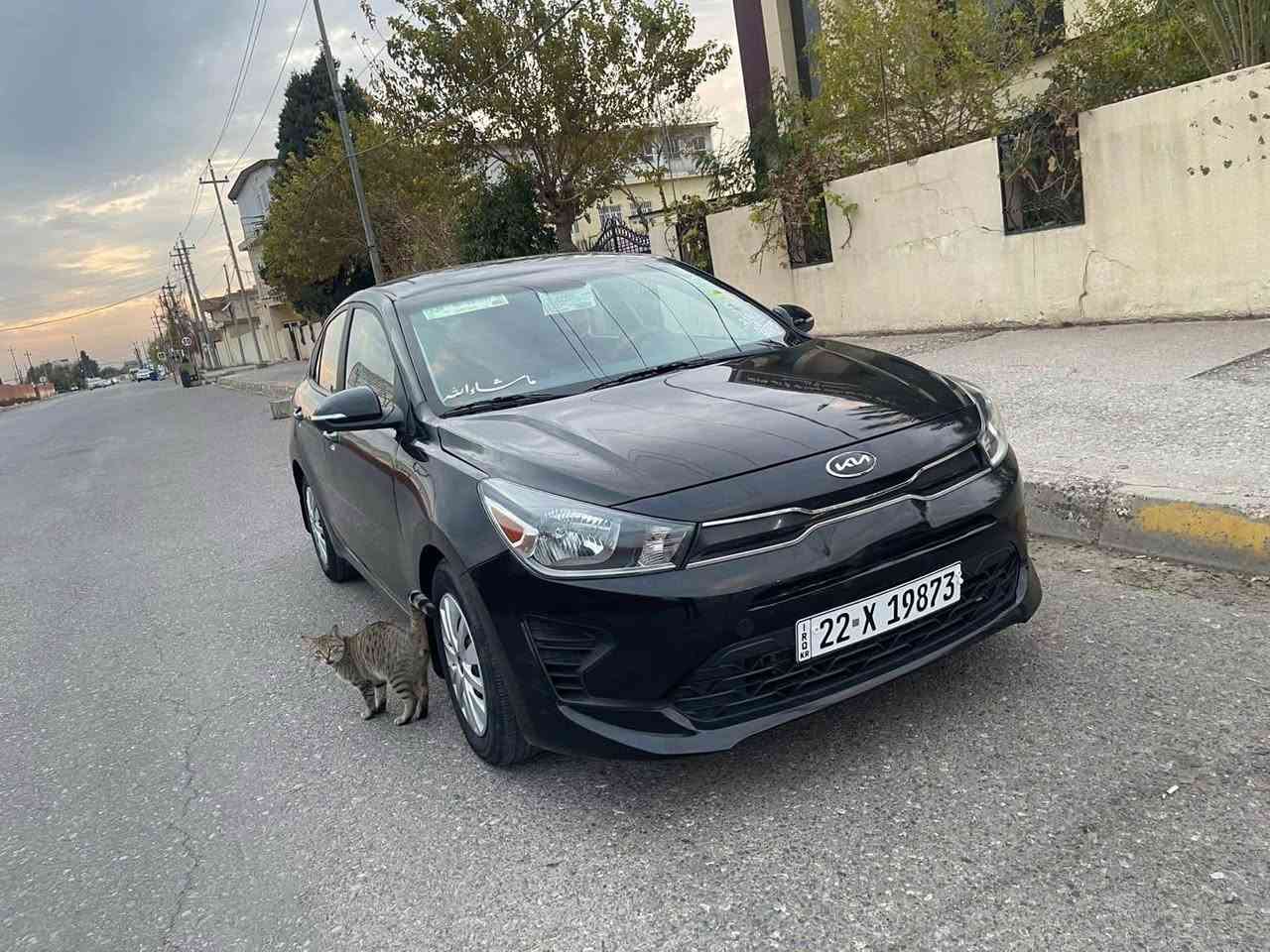 Kia reio
موديل 2023
سةيارة ٦هةزار رويشتوة 
حيسابكة سفرة 
سةيارةكة سبوغ عامة 
گير و مةكينة و تةقة و رةقة و دارو بةردي بةشةرتة 
واتة دةعامي بو دةعامي بةشةرتة
سةيارةكي جوان و بي مةسرةفة 
سحري ٩٨وةرةقة و مةجالةكي كةمي برايانة 
***********
Whats app أربيل, العراق
