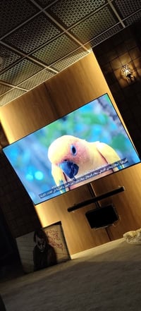 روميو • ٨٥ بوصه • البصره