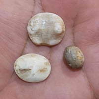 ملاقط قديمة • أدوات مطبخ • البصرة