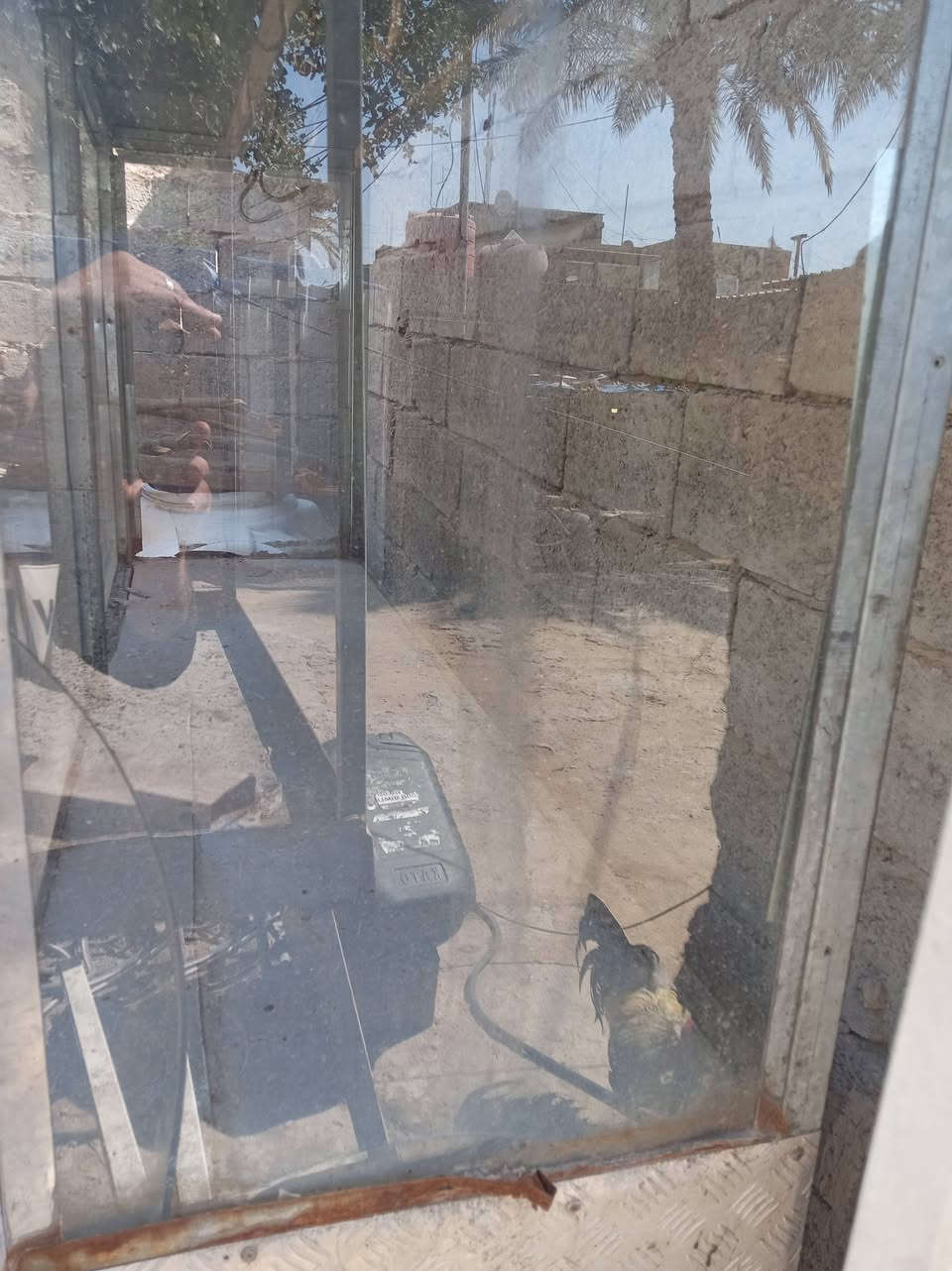 باترينة مال كباب وميز وياهة سعرهم ١٧٥ مكاني زعفرانية رقمي ***********
