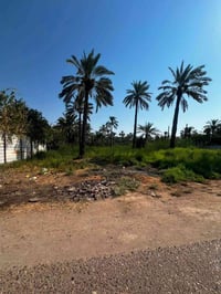 الطارمية الشيخ حمد • دونم سند • واجهة ٢٥م