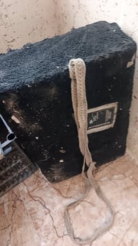 شغال • على الفحص