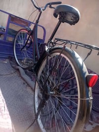 باسكل • حجم 26 • نضيف